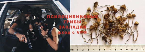 гашик Строитель
