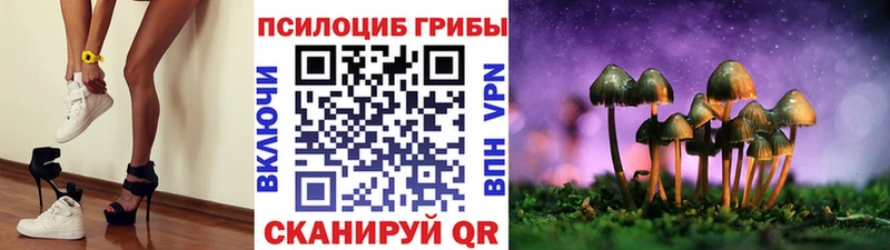 Галлюциногенные грибы Cubensis  Верхняя Пышма 