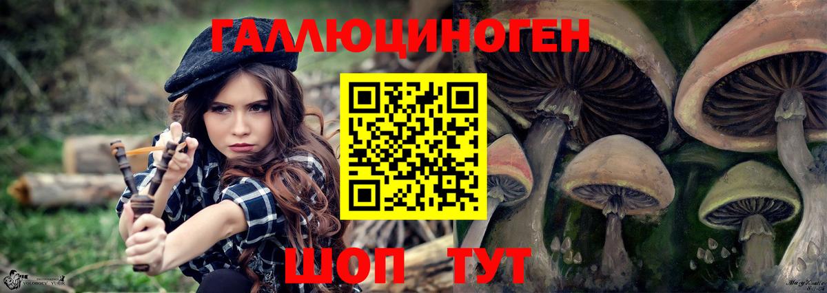 Галлюциногенные грибы Magic Shrooms  Вход с VPN  Верхняя Пышма  Псилоцибиновые грибы ЛСД 
