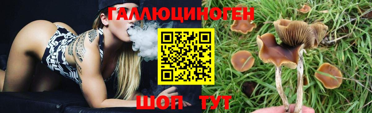 Галлюциногенные грибы Magic Shrooms  Верхняя Пышма 