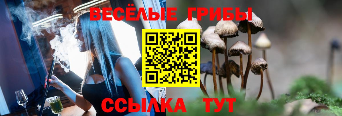 Галлюциногенные грибы прущие грибы Верхняя Пышма